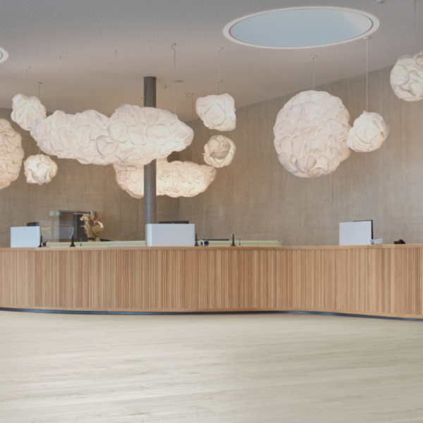 SMOOTH D40411 - Ảnh 2