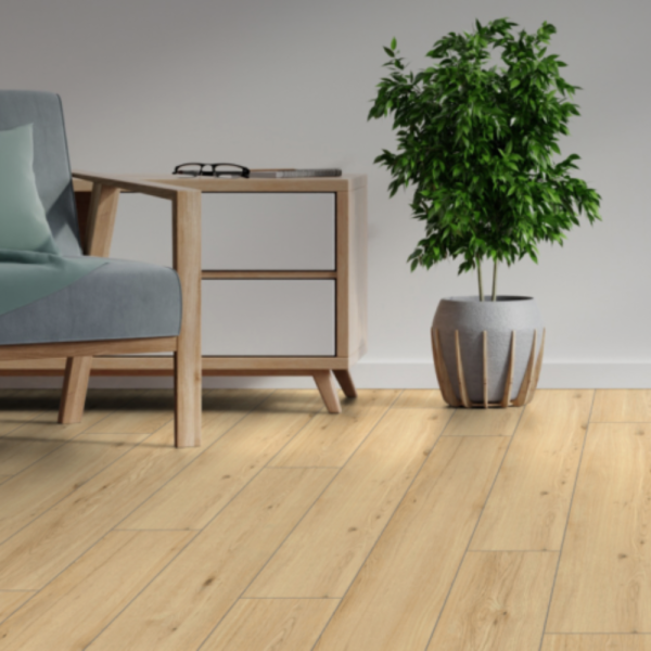 DISENTIS OAK D80631 - Ảnh 2